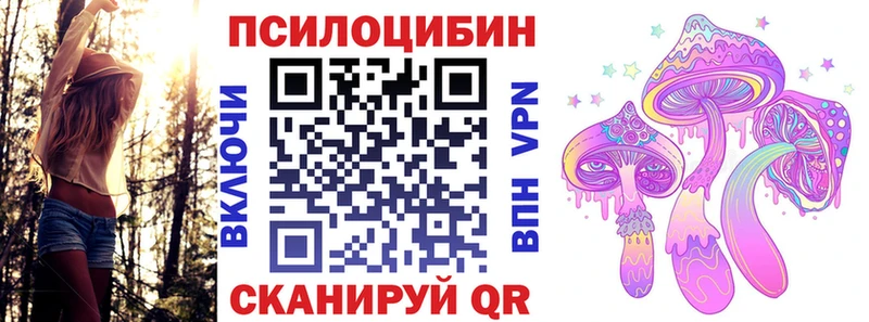 Галлюциногенные грибы мицелий  Купить закладки  Махачкала 